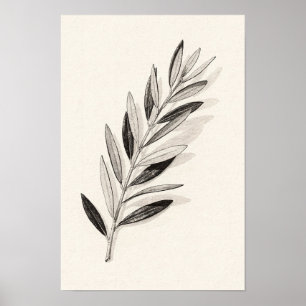 Poster Branche de olivier unique monochrome Nature