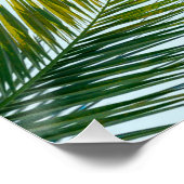 Poster Branche de palmier (Coin)