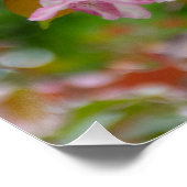 Poster Branche délicate avec fleurs pommier (Coin)