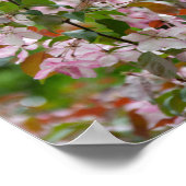 Poster Branche délicate avec fleurs pommier (Coin)
