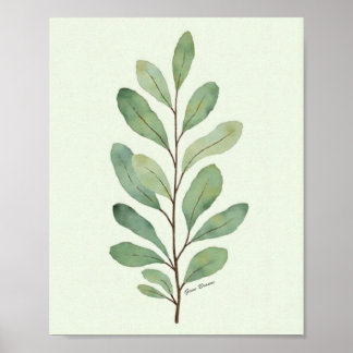 Poster Branche d'eucalyptus botanique à l'aquarelle