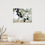 Poster Branche d'olive (Cuisine)