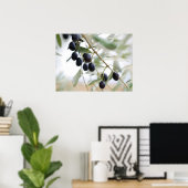 Poster Branche d'olive (Bureau à domicile)