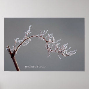 Poster Branche givrée d'hiver