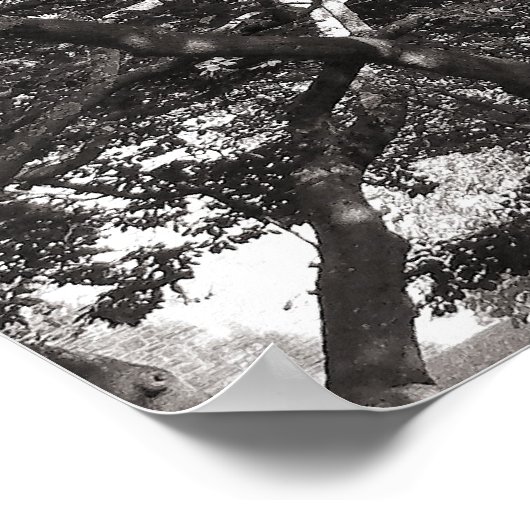 Poster Branche japonaise II (Coin)