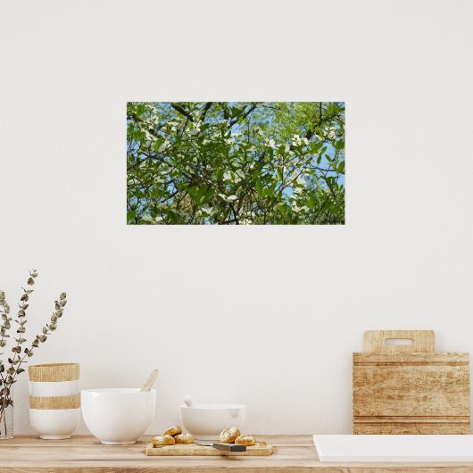 Poster Branche of Dogwood Blossoms Spring Trees (Cuisine)