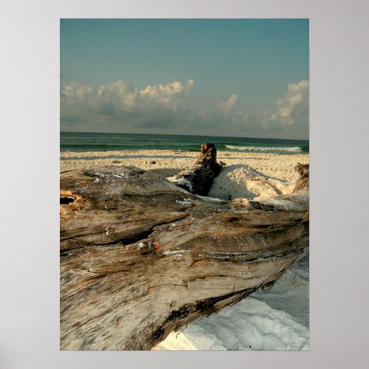 Poster Branche sur la plage (Devant)