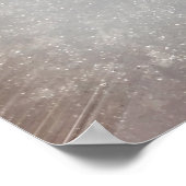 Poster branche tombée (Coin)