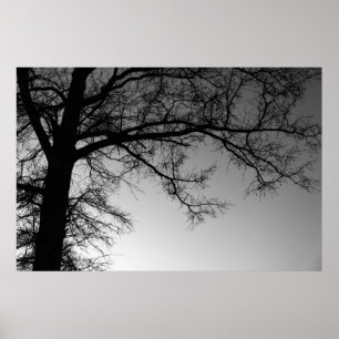 Poster Branches