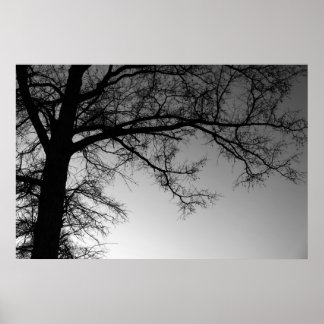 Poster Branches