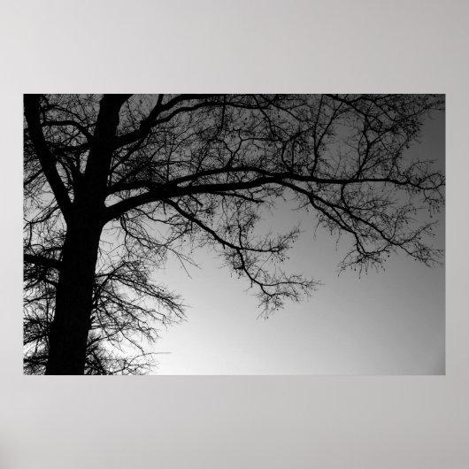 Poster Branches (Devant)