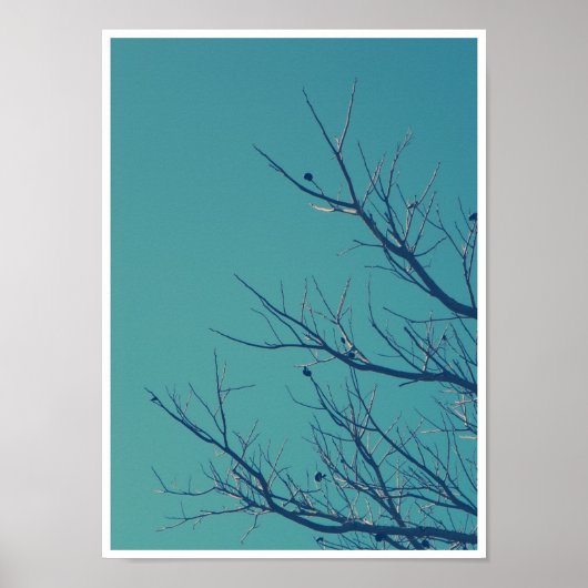 Poster Branches (Devant)