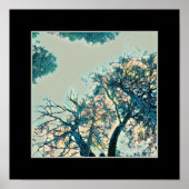 Poster Branches (Devant)