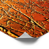 Poster Branches Abstraites d'arbre à bouleau nu (Coin)