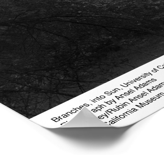 Poster Branches, au soleil, UC Père Noël Cruz, 1963 (Coin)