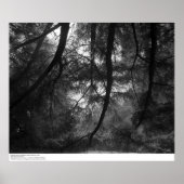 Poster Branches, au soleil, UC Père Noël Cruz, 1963 (Devant)