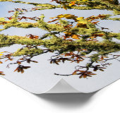 Poster Branches couvertes (Coin)