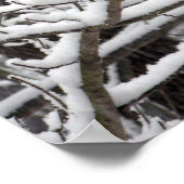 Poster Branches couvertes de neige (Coin)