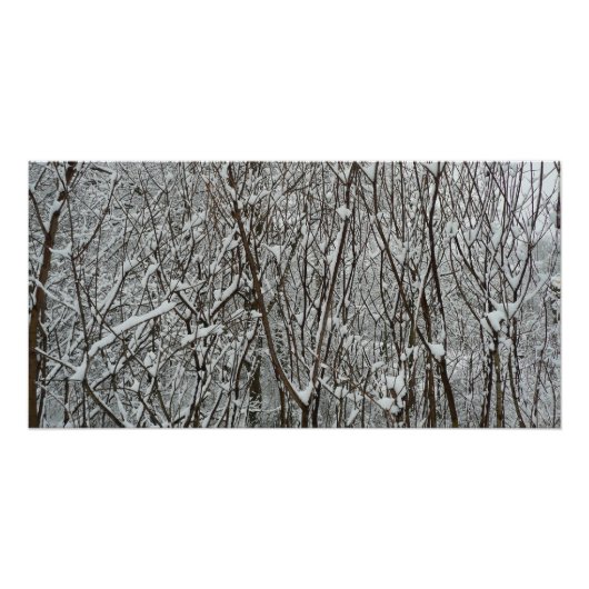 Poster Branches couvertes de neige Abstraite hivernale (Devant)