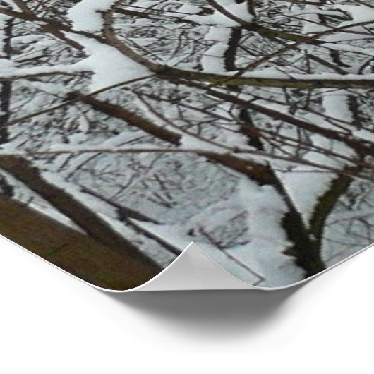 Poster Branches couvertes de neige hiver (Coin)