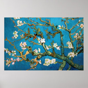 Poster Branches d'amande dans le détail de fleur, Van