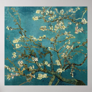 Poster Branches d'amandes en fleurs