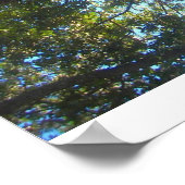 Poster branches d'arbre (Coin)