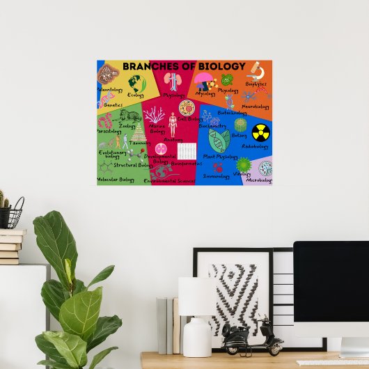 Poster Branches de biologie (Bureau à domicile)