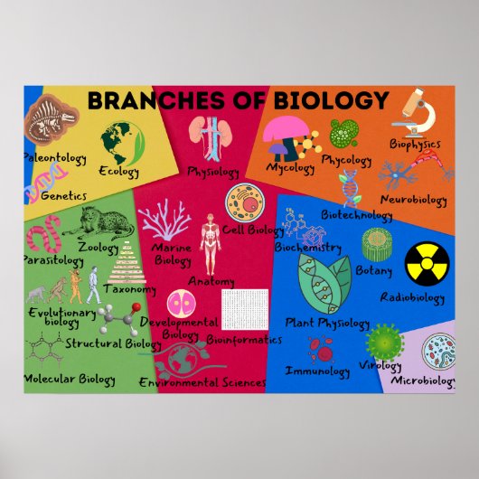 Poster Branches de biologie (Devant)