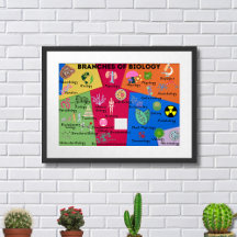 Branches de biologie