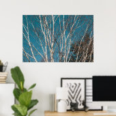 Poster Branches de bouleau argenté au soleil (Bureau à domicile)