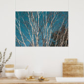 Poster Branches de bouleau d'argent au soleil (Cuisine)