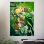 Poster Branches de chêne avec des glands