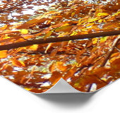 Poster Branches de feuilles orange Nature automnale (Coin)