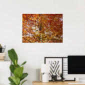 Poster Branches de feuilles orange Nature automnale (Bureau à domicile)