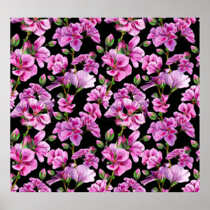 Poster Branches de géranium, bourgeons roses aquarelles.