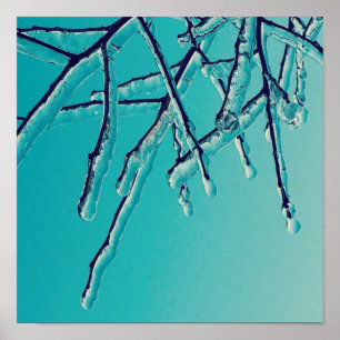 Poster branches de glace