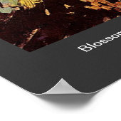 Poster Branches de l'acacia en floraison Vincent van Gogh (Coin)