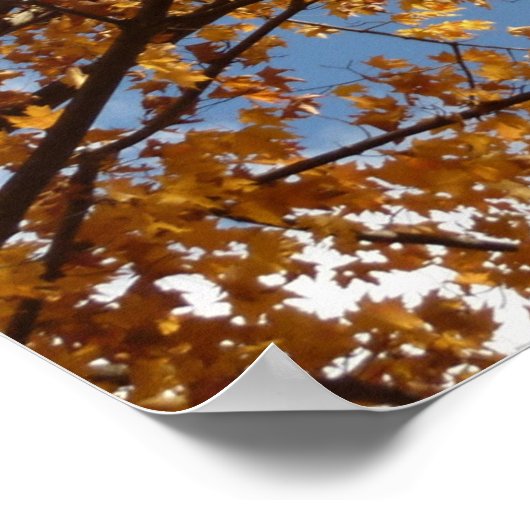 Poster Branches de Maple Feuilles II Orange Automne (Coin)