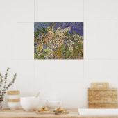 Poster Branches de marronnier en fleurs par Vincent van G (Cuisine)