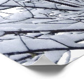 Poster Branches de neige (Coin)