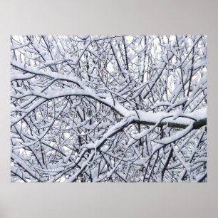 Poster Branches de neige