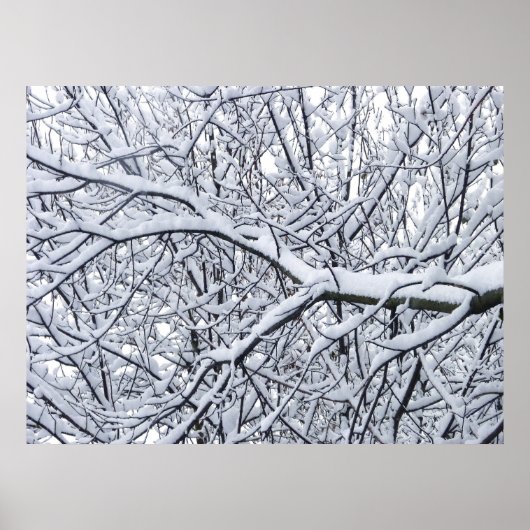 Poster Branches de neige (Devant)