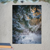 Poster Branches de pin couvertes de neige