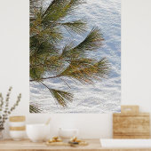 Poster Branches De Pins Et Neige À Ottawa. Commandez dès  (Cuisine)