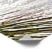 Poster Branches De Pins Et Neige À Ottawa. Commandez dès  (Coin)