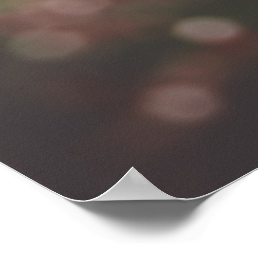 Poster Branches de prune avec fleurs blanches (Coin)