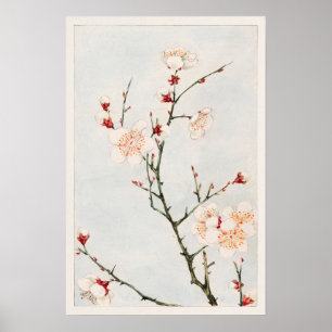 Poster Branches de prunes avec fleurs de Megata Morikaga