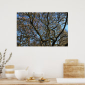 Poster Branches des arbres Magnolia (Cuisine)
