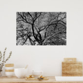 Poster Branches des arbres Magnolia (Cuisine)